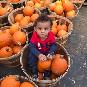 Meet your Posher, Cindy